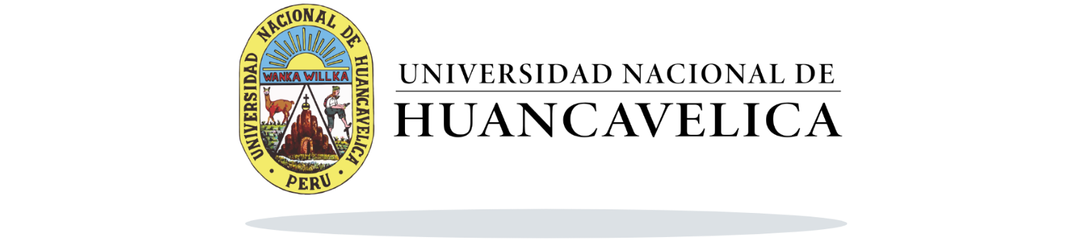 Universidad Huancavelica
